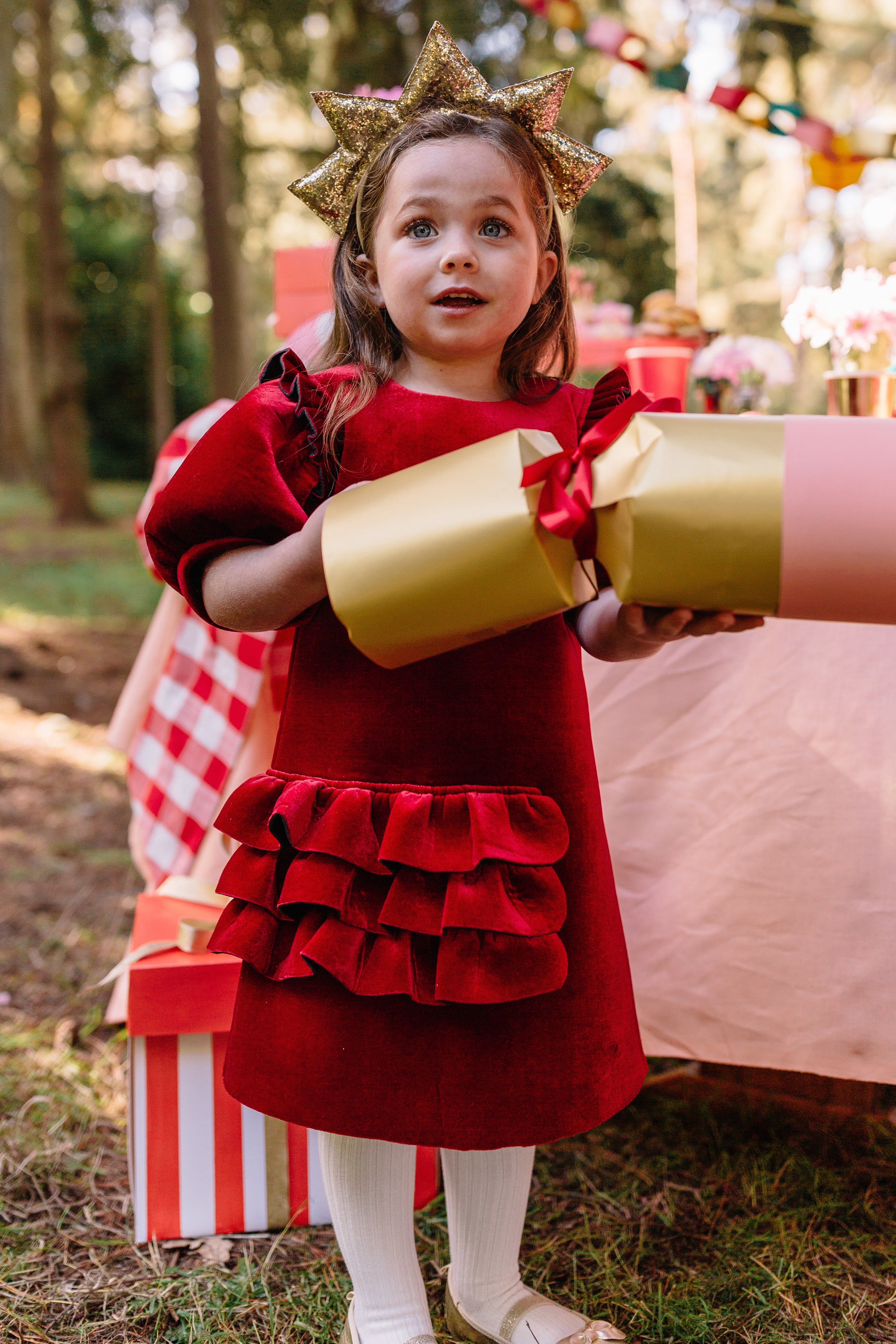Tina Dress in Dark Red